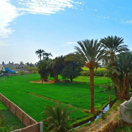 Farida Apartments Luxor Exteriör bild