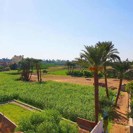 Farida Apartments Luxor Exteriör bild