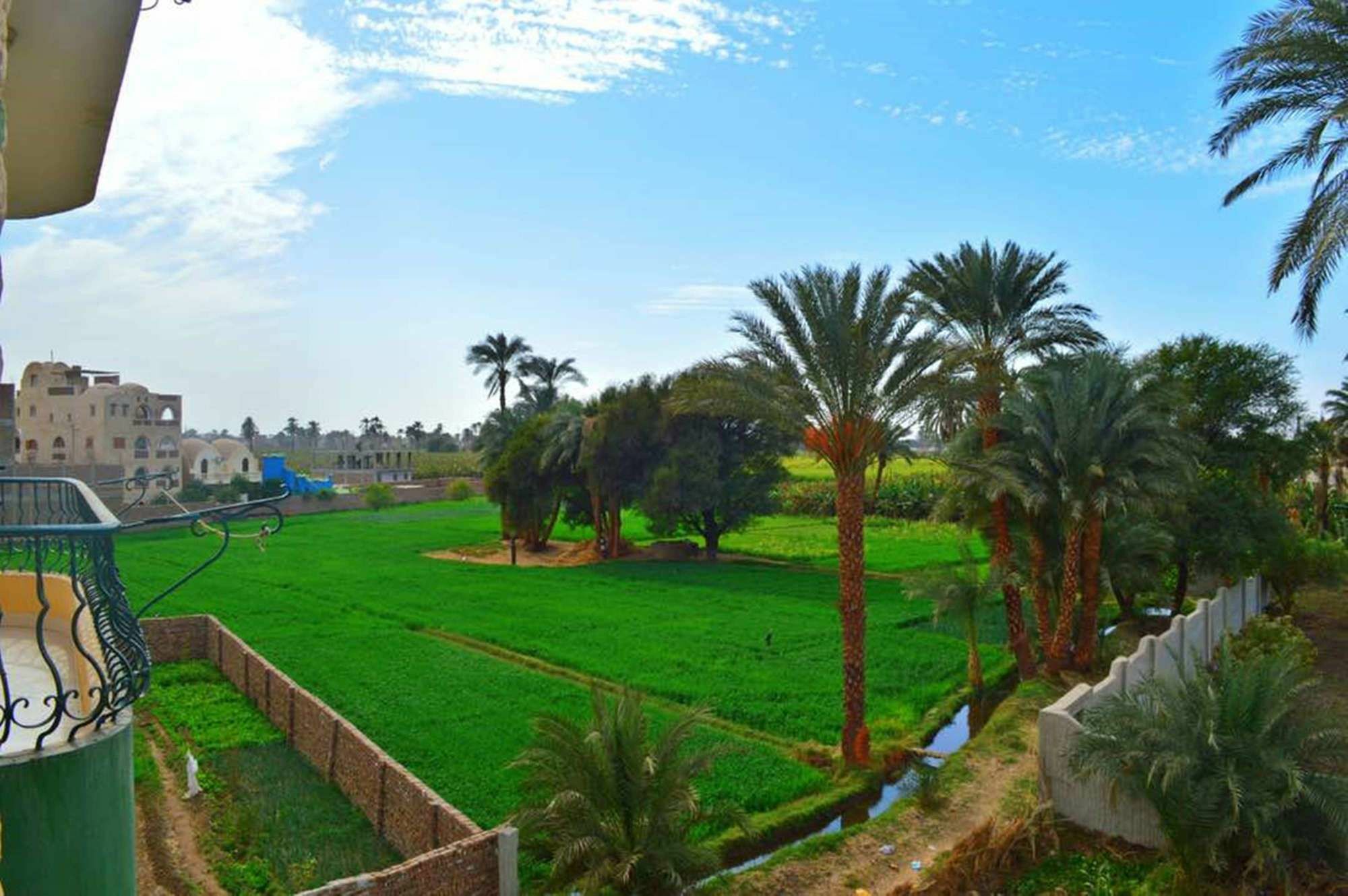 Farida Apartments Luxor Exteriör bild