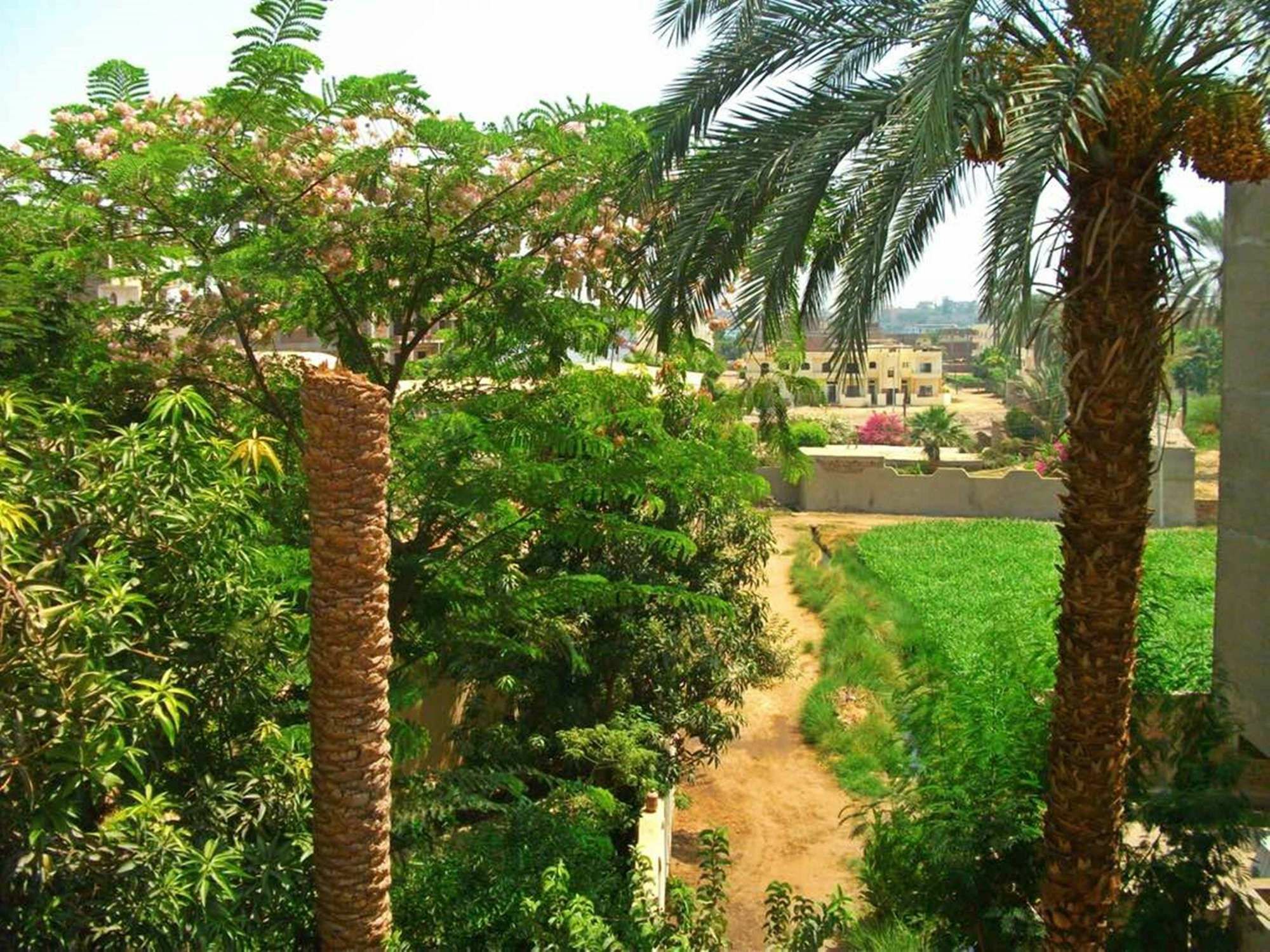 Farida Apartments Luxor Exteriör bild