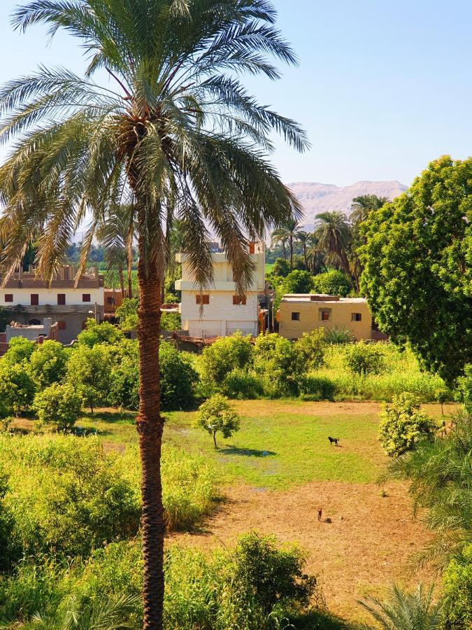 Farida Apartments Luxor Exteriör bild
