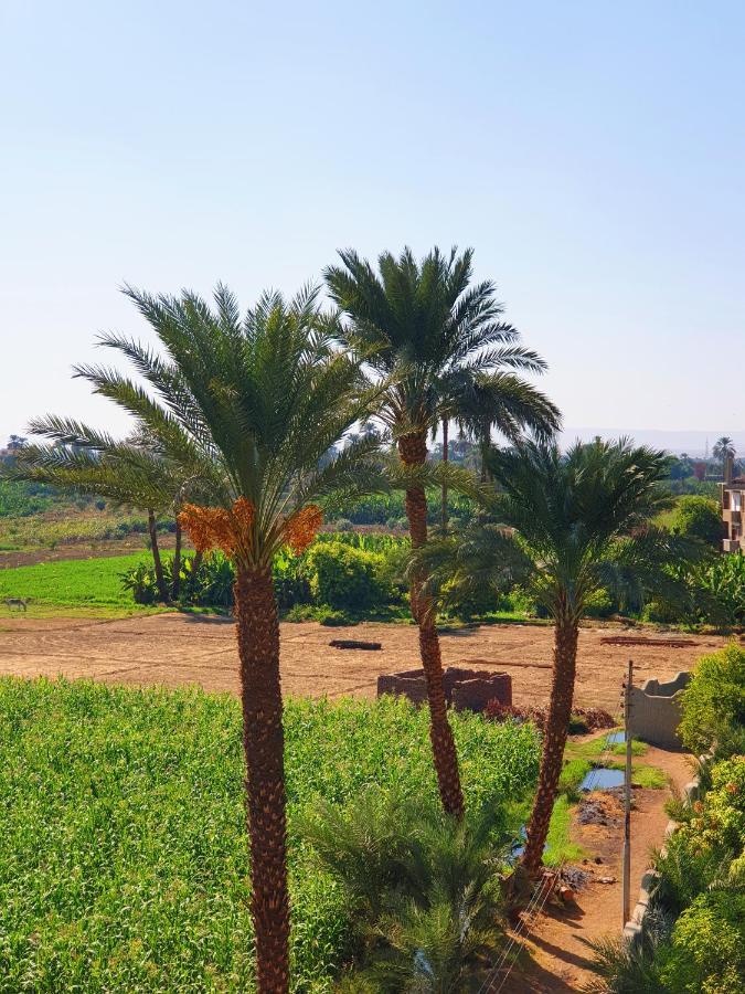 Farida Apartments Luxor Exteriör bild